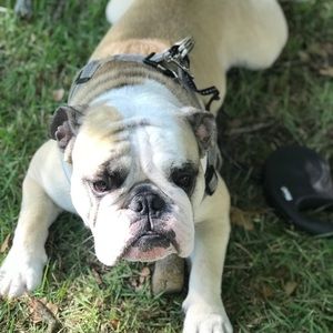 Meet your Posher, Julie